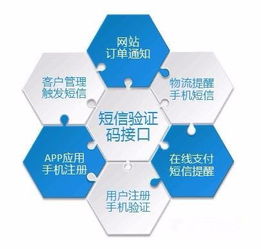 為什么需要這么多的驗證碼？——數字文化創意內容應用服務的視角